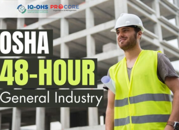 Untitled design (34)